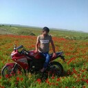  -,   , 31 ,   ,   