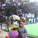 ���������� �������, ���� ������� ��������, 33 ����, ������������ 