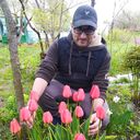 ���������� ��������, ���� ������� ������, 29 ���, ������������ ��� ������, ����� � ���������