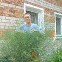 ���������� ��������, ���� ������� �����, 41 ���, ������������ ��� ������, ����� � ���������, c�������� ���������, ���������