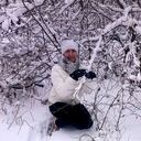 ���������� �������, ���� ������� �����, 38 ���, ������������ ��� ����� � ���������, c�������� ���������, ���������