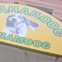 ���������� �����-���������, ���� ������� ����, 40 ���, ������������ ��� ������, ����� � ���������