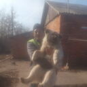 ���������� ������, ���� ������� ������, 40 ���, ������������ ��� ������, ����� � ���������