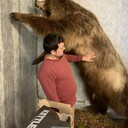 ���������� ������, ���� ������� �����, 43 ����, ������������ ��� ������, ����� � ���������