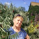  ,    , 61 ,  