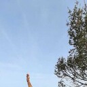 ���������� �����������, ���� ������� �������, 35 ���, ������������ ��� ������, ����� � ���������