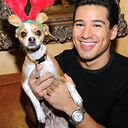 ���������� ������ ��������, ���� ������� ������, 42 ����, ������������ ��� ������, ����� � ���������, c�������� ���������