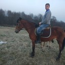  ,   Ilia, 53 ,   ,   , c 