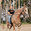 ���������� ������, ���� ������� �����, 40 ���, ������������ ��� ������, ����� � ���������