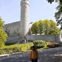 ���������� ����, ���� ������� Zaur, 42 ����, ������������ ��� ������, ����� � ���������, c�������� ���������