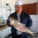  ,   , 58 ,   