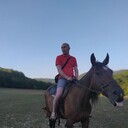  -,   , 39 ,   ,   
