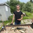 ���������� ������, ���� ������� ���������, 31 ���, ������������ ��� ������, ����� � ���������, c�������� ���������, ���������