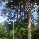 ���������� ����������, ���� ������� ����, 36 ���, ������������ ��� ������, ����� � ���������, c�������� ���������