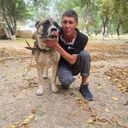 ���������� �������, ���� ������� �����, 53 ����, ������������ 