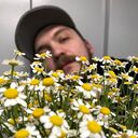 ���������� ������, ���� ������� ����, 31 ���, ������������ ��� ������