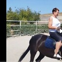  ,   , 54 ,   