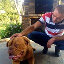 ���������� ���������, ���� ������� �����, 42 ����, ������������ ��� ������, ����� � ���������