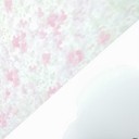 ���������� ���������������, ���� ������� ������, 32 ����, ������������ ��� ������, ����� � ���������, c�������� ���������