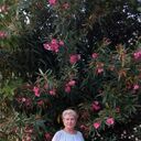  --,   , 72 ,   ,   
