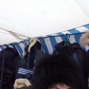   ,   , 51 ,   
