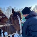 ���������� ����, ���� ������� ������, 34 ����, ������������ ��� ������, ����� � ���������, c�������� ���������, ���������