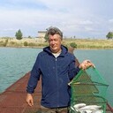  ,   , 56 ,   ,   