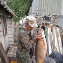  ,   , 51 ,   c , 