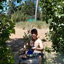 ���������� ��������, ���� ������� ������, 44 ����, ������������ ��� ������, ����� � ���������, c�������� ���������