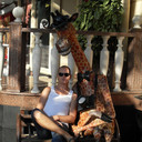 ���������� ����, ���� ������� �������, 43 ����, ������������ ��� ������, ����� � ���������, c�������� ���������