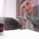  ,   , 40 ,   ,   , c , 