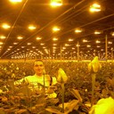 ���������� �������, ���� ������� ������, 42 ����, ������������ ��� ������, ����� � ���������, c�������� ���������