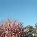 ���������� ���������, ���� ������� �����, 41 ���, ������������ ��� ������, ����� � ���������, c�������� ���������