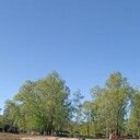 ���������� ������, ���� ������� ��������, 41 ���, ������������ ��� ������, ����� � ���������, c�������� ���������