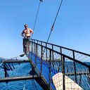 ���������� �����������, ���� ������� �����, 28 ���, ������������ 