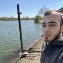  ,   Salix, 39 ,   ,   , c , 