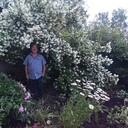  ,   , 66 ,  