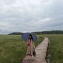  -,   , 41 ,   ,   , c 