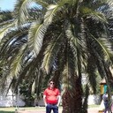 ���������� �������, ���� ������� ����, 45 ���, ������������ ��� ������, ����� � ���������, c�������� ���������