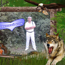  ,    , 55 ,   ,   