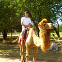 ���������� �������, ���� ������� BAXA, 36 ���, ������������ ��� ����� � ���������, c�������� ���������, ���������