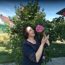 ���������� �������, ���� ������� �������, 75 ���, ������������ ��� ������, ����� � ���������