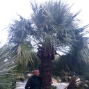  ,   , 36 ,     , c 