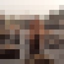  -,   , 63 ,   