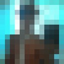 ���������� ������, ���� ������� ����, 38 ���, ������������ ��� ������, ����� � ���������, c�������� ���������