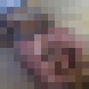  -,   , 41 ,  