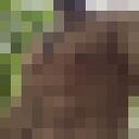 ���������� �����������, ���� ������� XXx, 34 ����, ������������ ��� ������, ����� � ���������