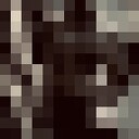 ���������� ������, ���� ������� �������, 28 ���, ������������ ��� ������, ����� � ���������, c�������� ���������