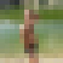 ���������� �������, ���� ������� �����, 37 ���, ������������ ��� ������, ����� � ���������, c�������� ���������