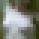  ,   Verona, 39 ,  